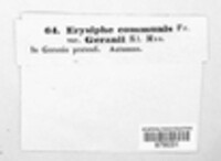 Image Associated With the Occurence